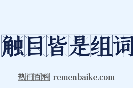 触目皆是组词是什么意思的图片